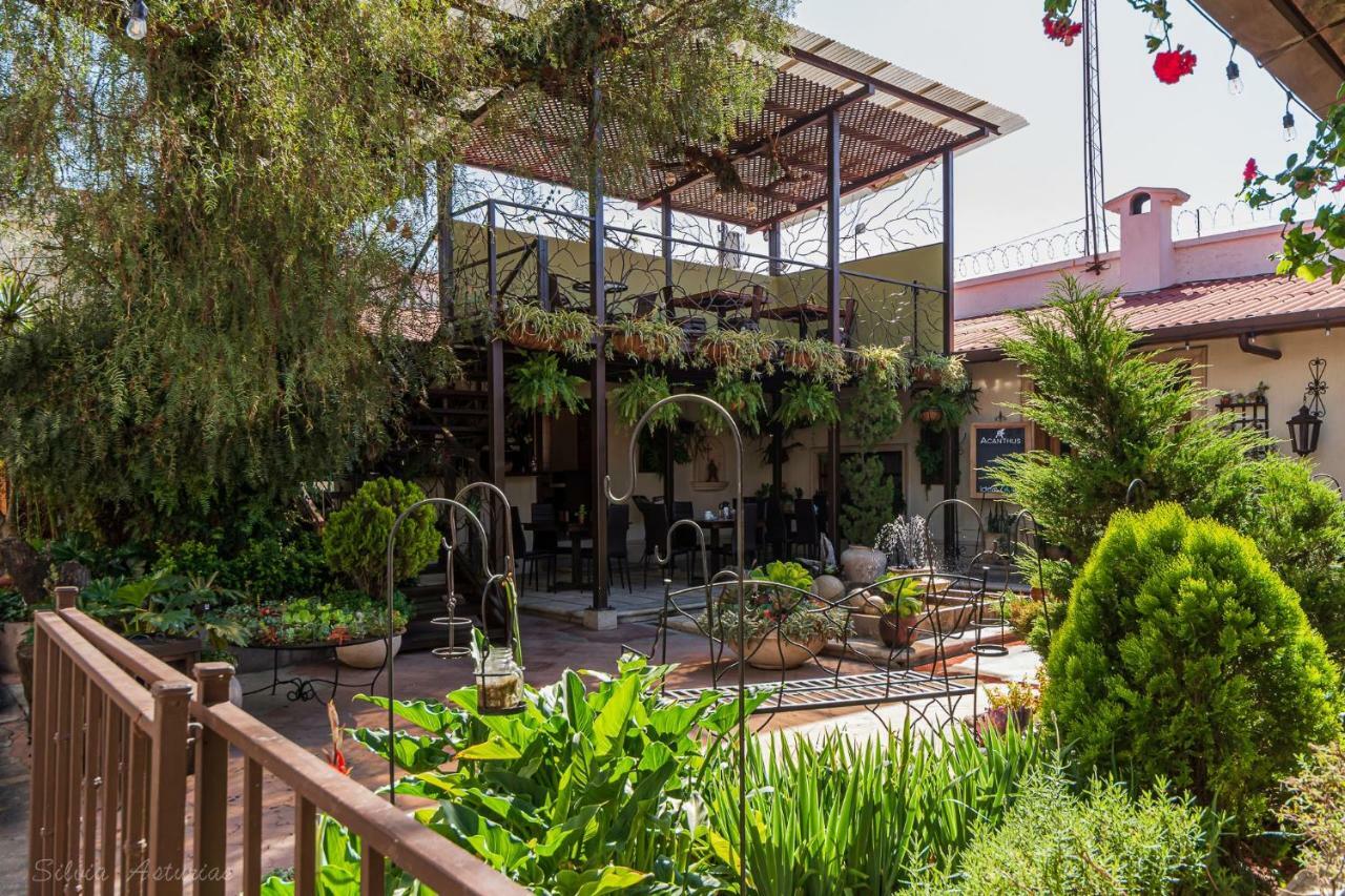 Acanthus Boutique Hotel 케트살테낭고 외부 사진